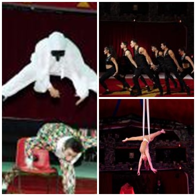 page circo