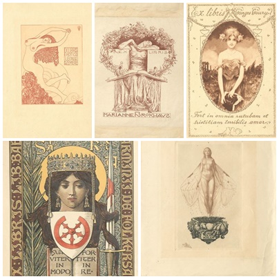 page mostra