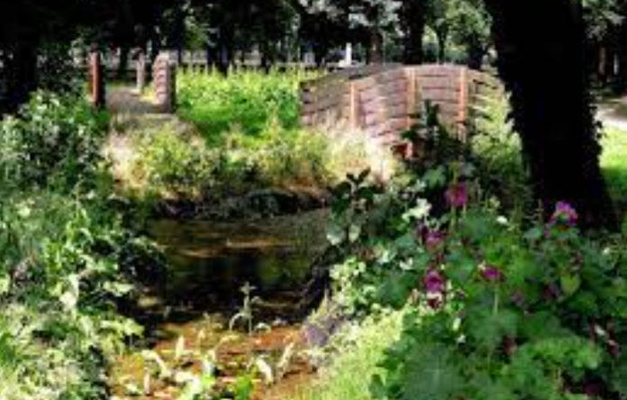 giardino botanico