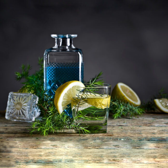 fiera gin 1