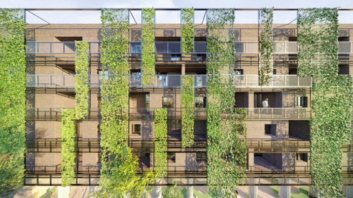 progetto bori