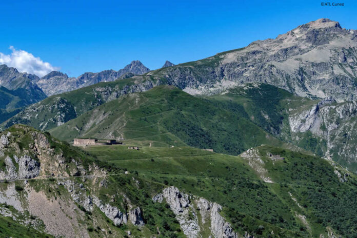 viasale1