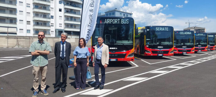 bus
