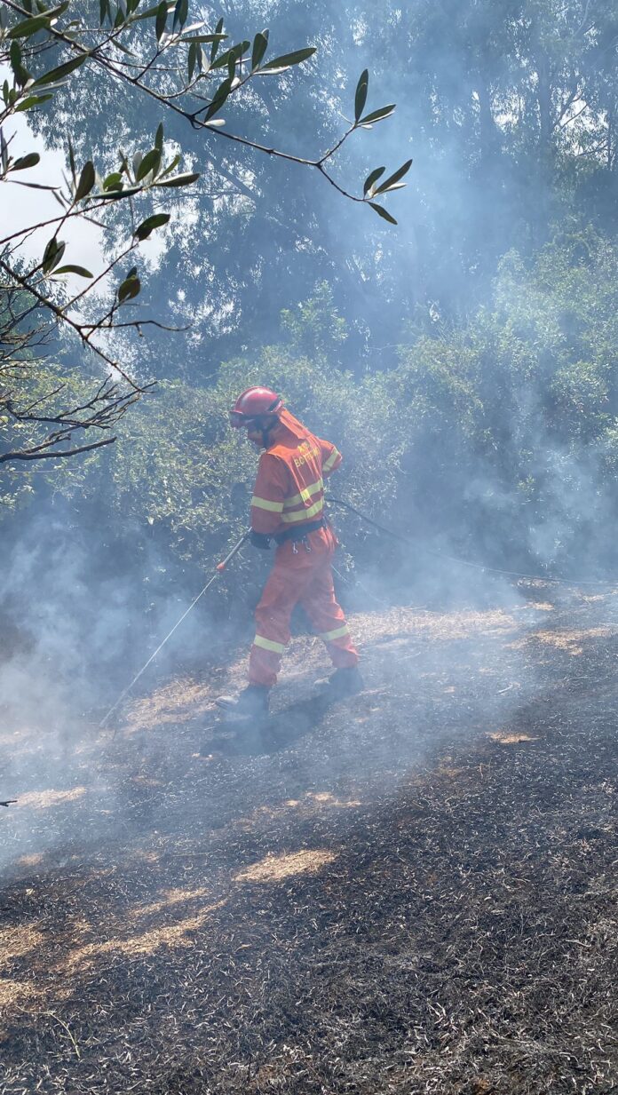 incendi-sardegna-2