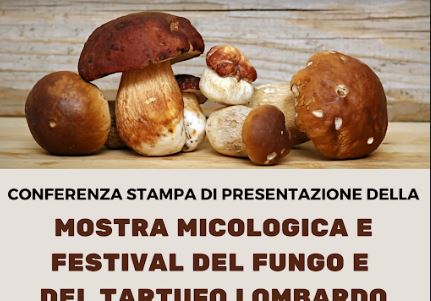 mostra funghi