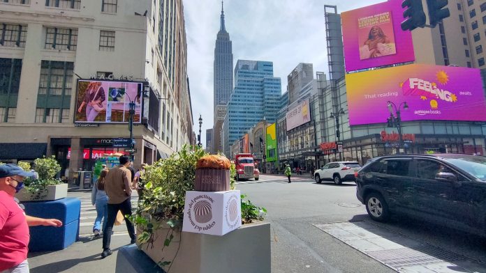 New York - USA 2