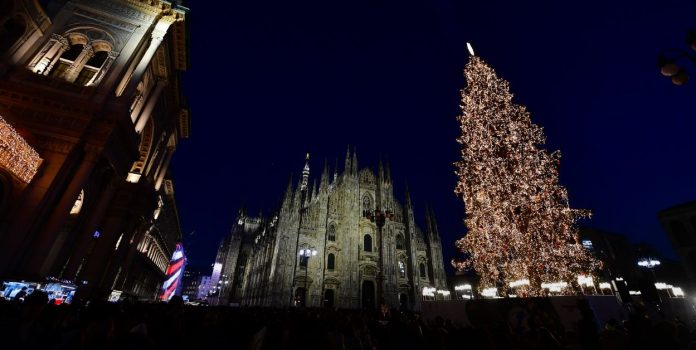 albero