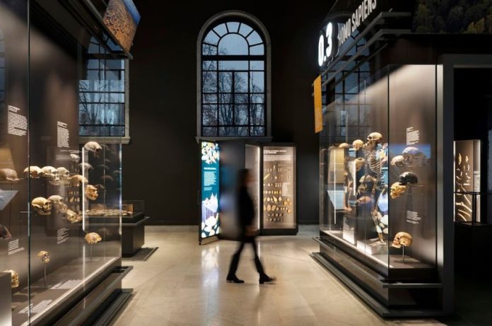 museo storia naturale milano