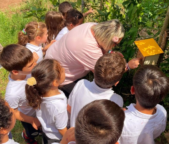 3Bee a scuola di biodiversità - 01 24