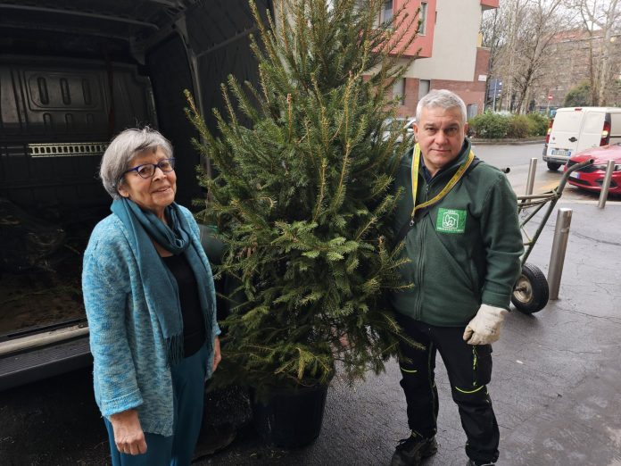 Consegna abeti Natale Calvairate_29 febbraio 2022 (1)