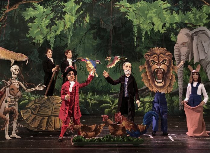 Il carnevale degli animali 3_Carlo Colla & Figli