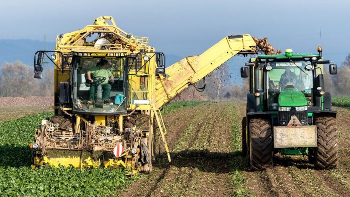 agricoltura1