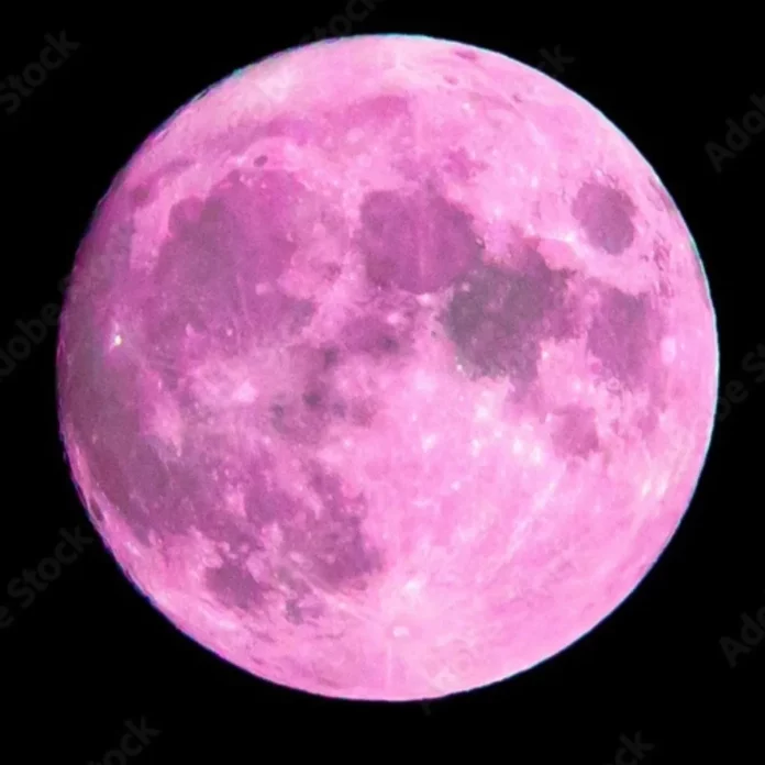 luna-rosa.