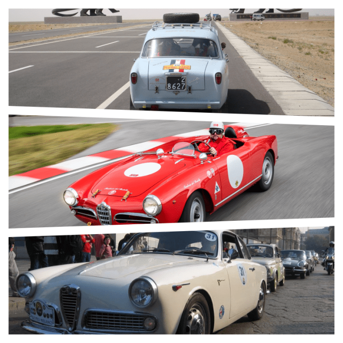collage alfa