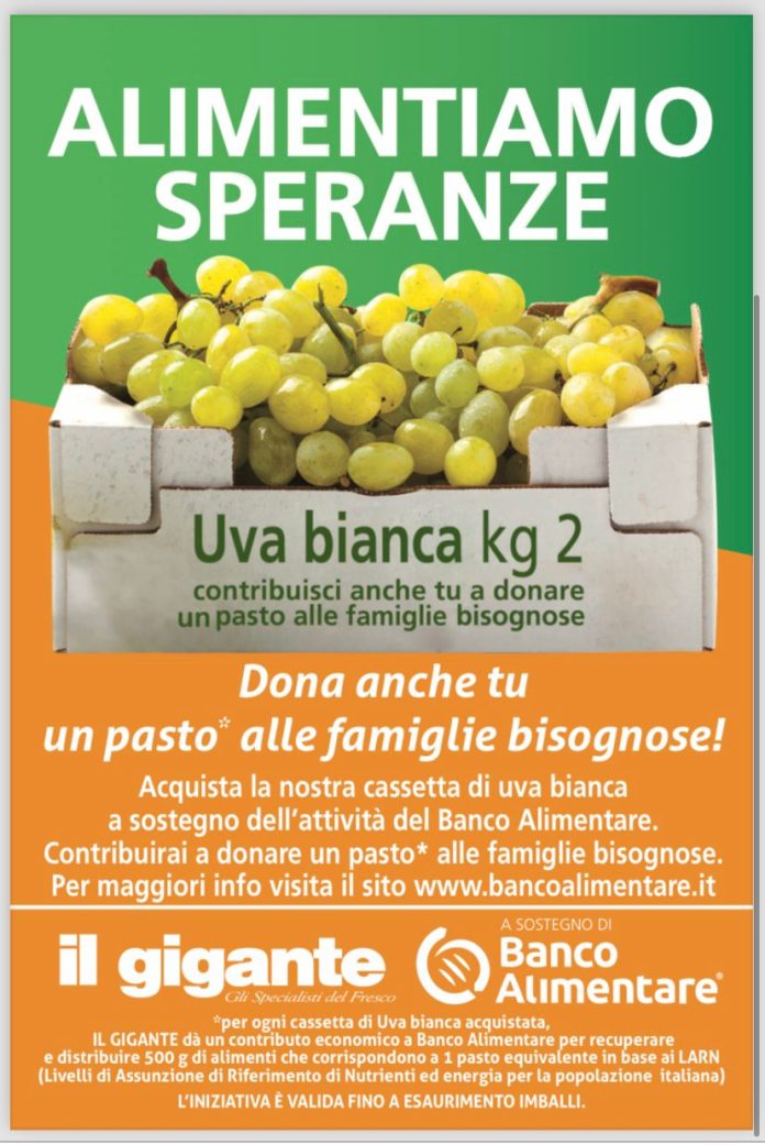Il Gigante Banco Alimentare e Il Gigante: donati più di un milione di pasti nel 2023