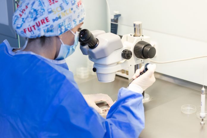 Procreazione Medicalmente Assistita