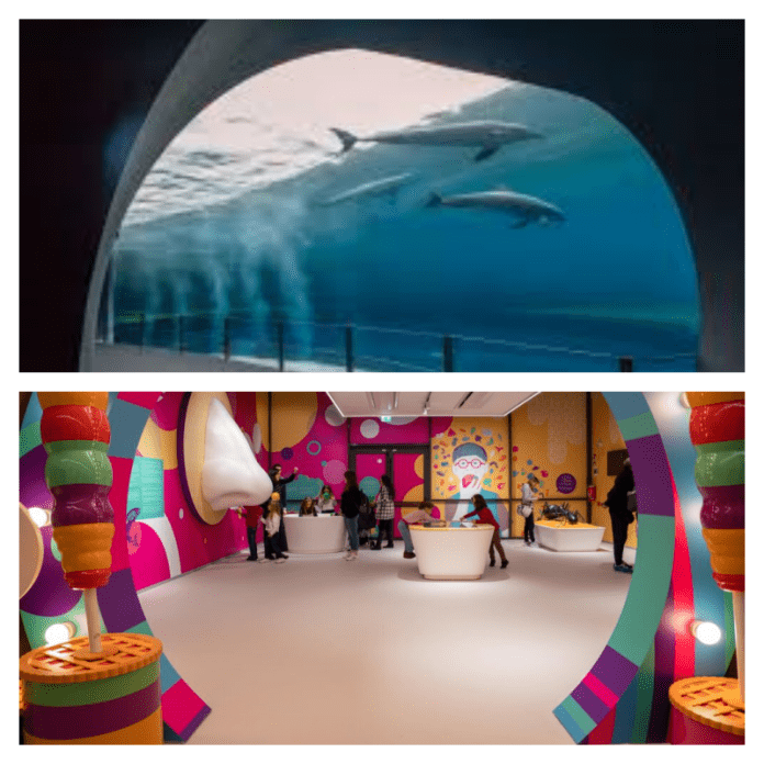 acquario