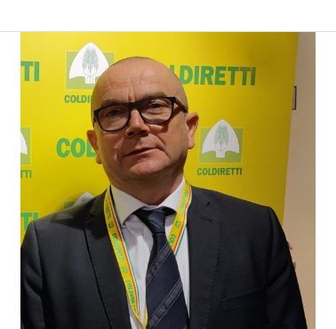 bertolasi