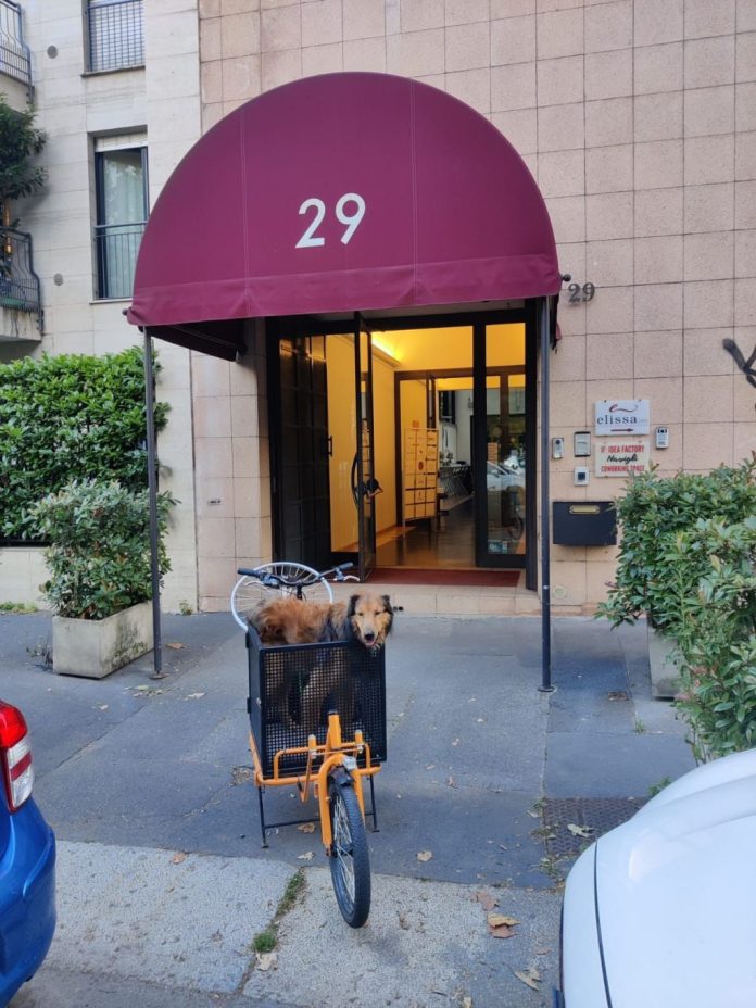 bici e cane