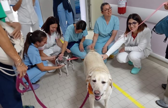 cani in corsia