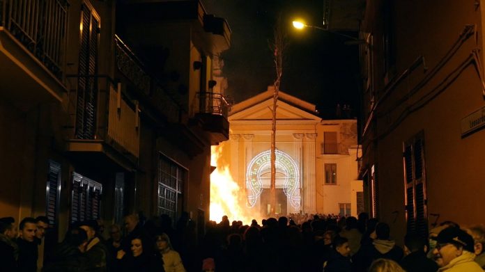 1 - Lo scalatore d'alberi