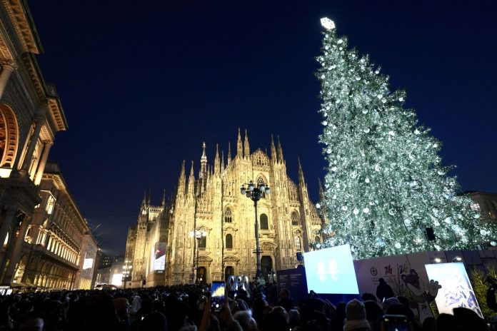 albero duomo