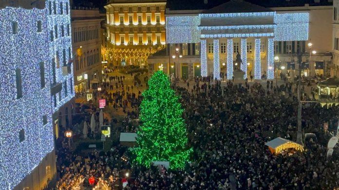 piazza-con-albero-illuminato