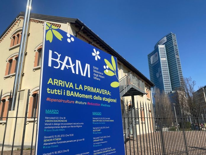 Bam