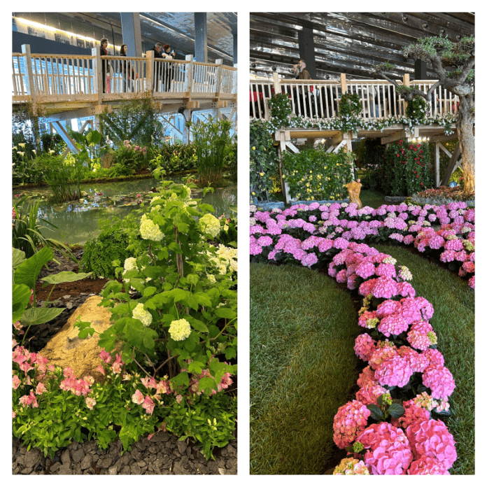 collage euroflora