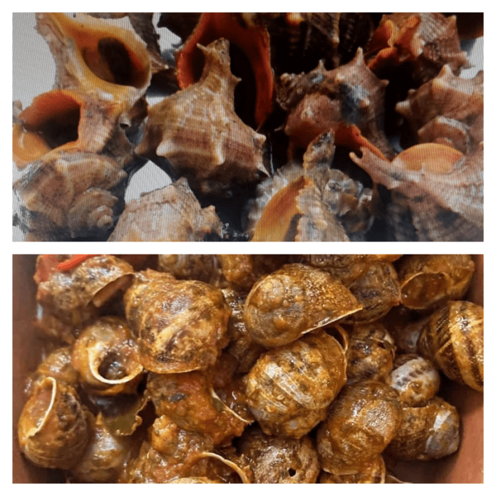 collage lumache