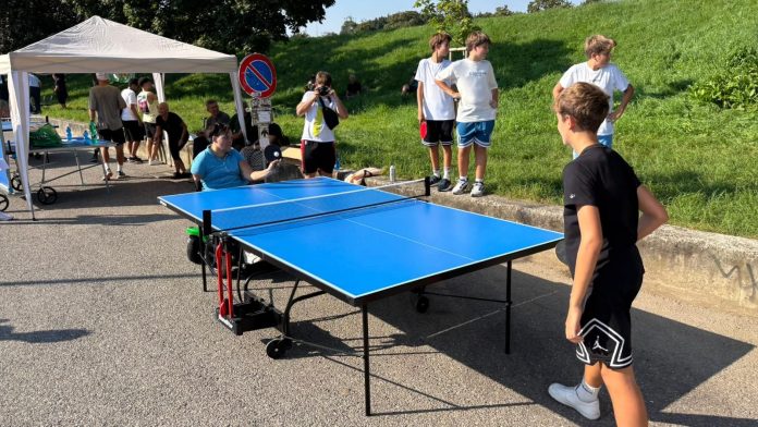 Sport