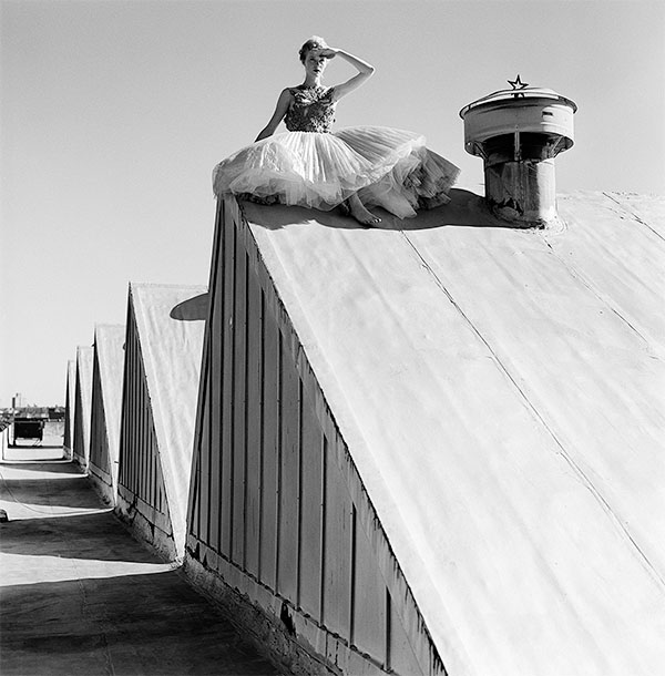 Rodney.Smith