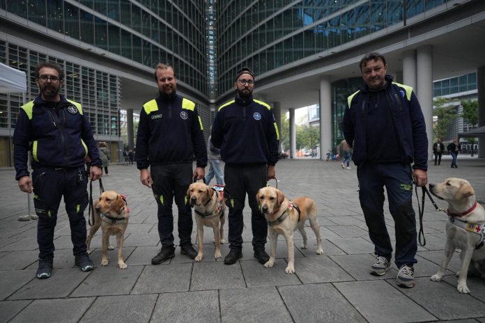 cani-guida-con-addestratori-OK