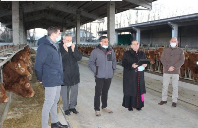 benedizione animali arc delpini