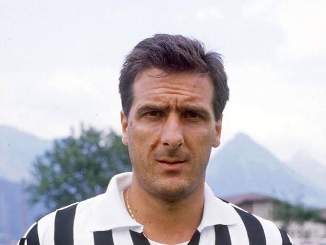 scirea