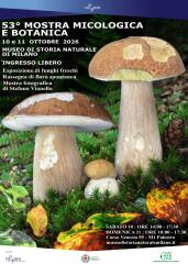 mostra micologica
